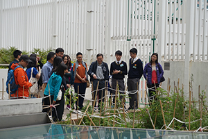 Guided Visit to Sing Yin Secondary School (25/3/2017)