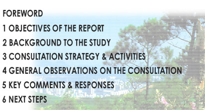 First Stage Public Consultation Report