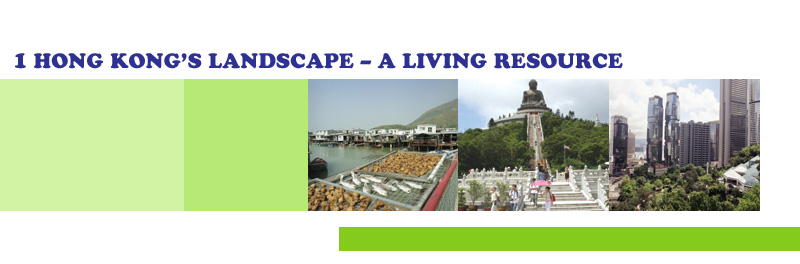 1 HONG KONG'S LANDSCAPE  A LIVING RESOURCE