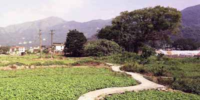 Lowland Countryside Landscape (Shek Kong, Yuen Long)