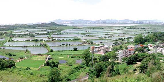 Figure 6.6 Nam Sang Wai and Deep Bay, NWNT